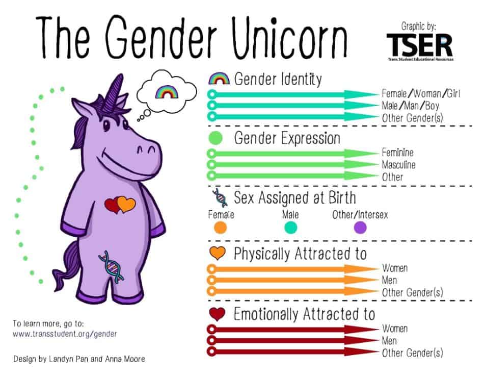 Gender Therapy and Gender Unicorn