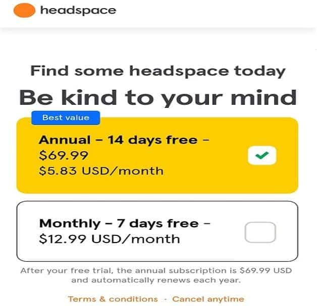 Headspace App UI and Pricing